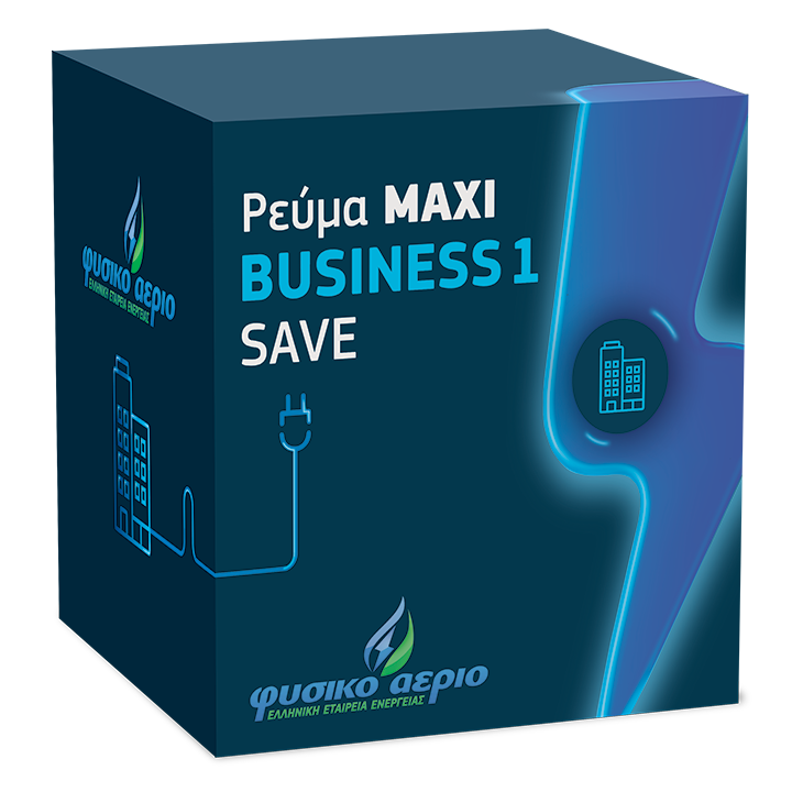 MAXI Business 1 Save